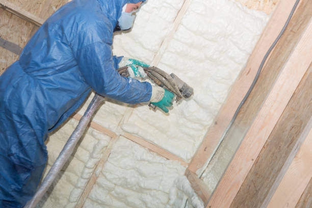  , USA Foam Insulation Services Pros